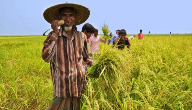 আজ ২ অক্টোবর জাতীয় উৎপাদনশীলতা দিবস।